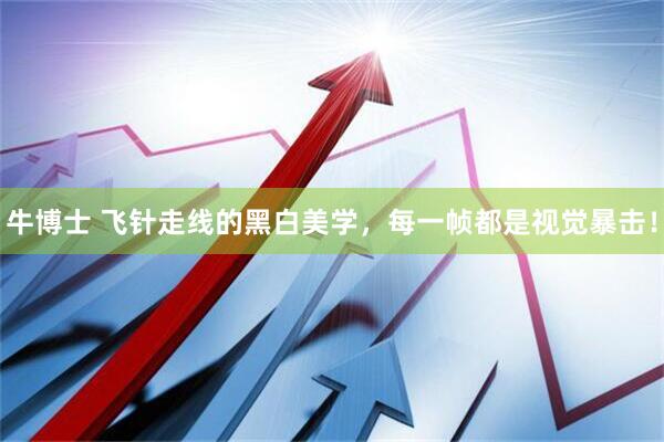 牛博士 飞针走线的黑白美学，每一帧都是视觉暴击！