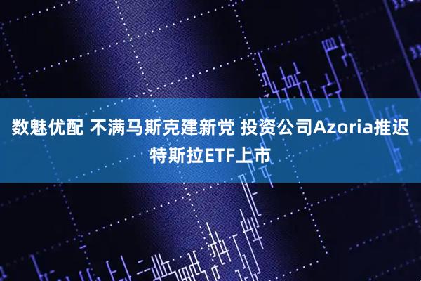 数魅优配 不满马斯克建新党 投资公司Azoria推迟特斯拉ETF上市