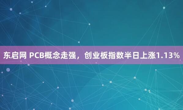 东启网 PCB概念走强，创业板指数半日上涨1.13%