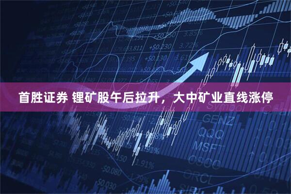 首胜证券 锂矿股午后拉升，大中矿业直线涨停