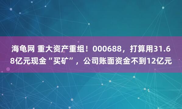 海龟网 重大资产重组!000688,打算用31.68亿元现金“买矿”,公司账面资金不到12亿元