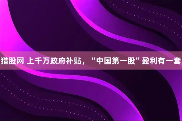 猎股网 上千万政府补贴,“中国第一股”盈利有一套