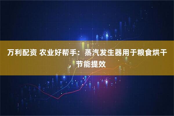万利配资 农业好帮手:蒸汽发生器用于粮食烘干,节能提效