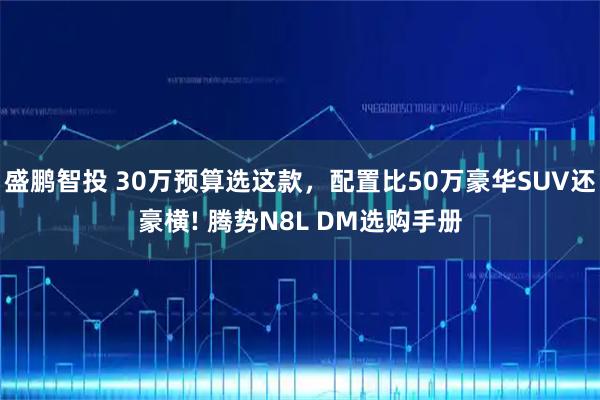 盛鹏智投 30万预算选这款，配置比50万豪华SUV还豪横! 腾势N8L DM选购手册