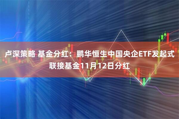 卢深策略 基金分红：鹏华恒生中国央企ETF发起式联接基金11月12日分红